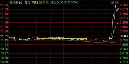 北交所震蕩調整 逾百股下挫，技術開發板塊承壓——以n鴻智超14%領跌為例